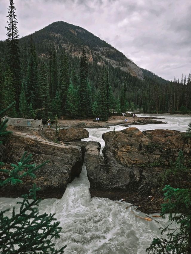 🌊 Takkakaw Falls + Natural Bridge – Yoho National Park Adventure! 🌊 Takkakaw Falls + Natural Bridge – Yoho National Park Adventure!