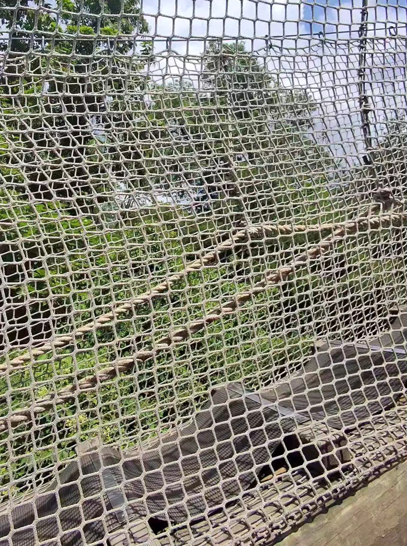 Walking on Air at the Bronx Zoo ✨️
Exploring the amazing Nature Trek exhibit at the Bronx Zoo! Walking across these fully netted, elevated bridges gives you a giraffe's-eye view of the world. It's a perfect spot for thrill-seekers and nature lovers alike. Come check it out!