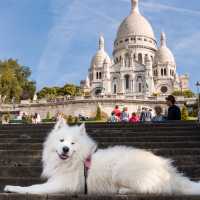 Discover Paris’ majestic Gem atop Montmartre 