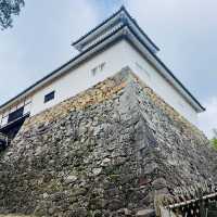 【滋賀県/国宝  彦根城🏯】