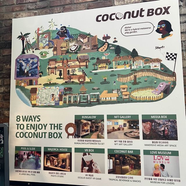 Enjoy the amazing Hongdae Coconut Box