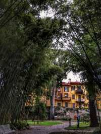 A prickly fun visit to Pisa Botanic 🍁🎍🇮🇹