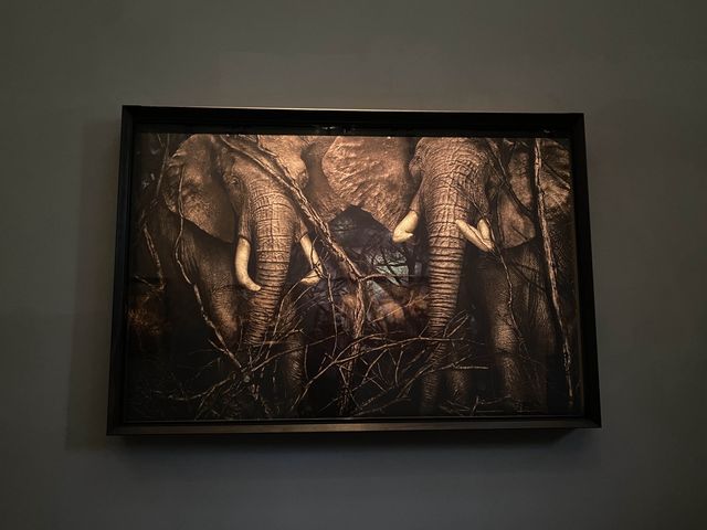 Hamiltons Gallery: Where Art Unveils Stories