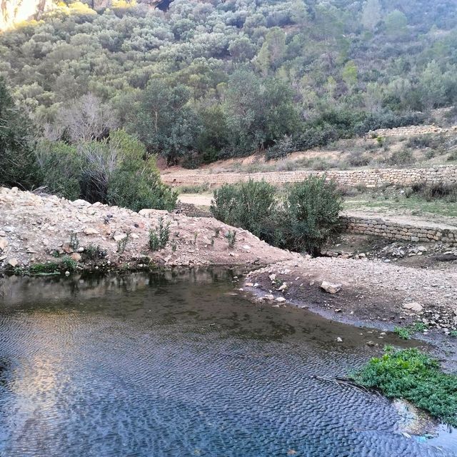 Ain Bou Sadia and Tank of Lakhmess