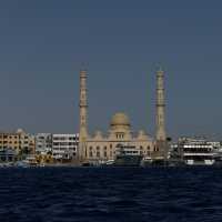 Pure Hidden Gem In Egypt HURGHADA 