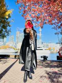 가을의 캐나다 🍁