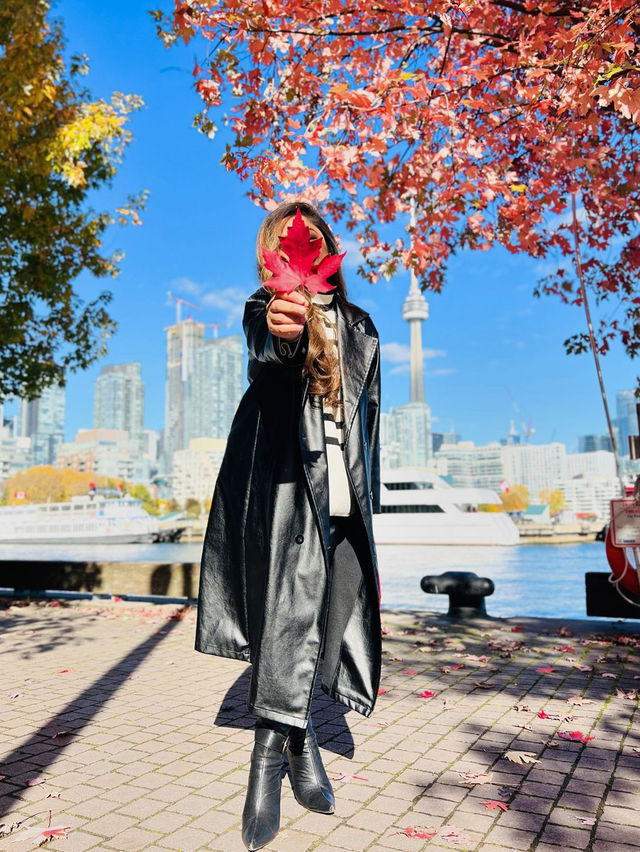 가을의 캐나다 🍁