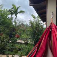 A rainforest retreat 