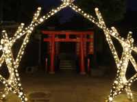 Ushijima shrine illumination