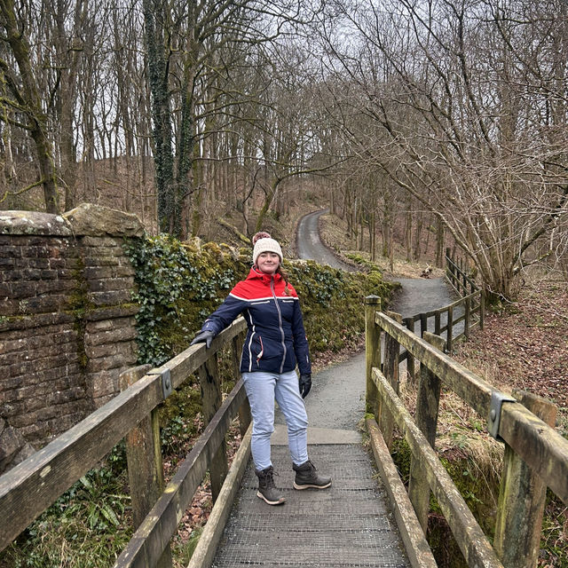 The perfect winter walk 
