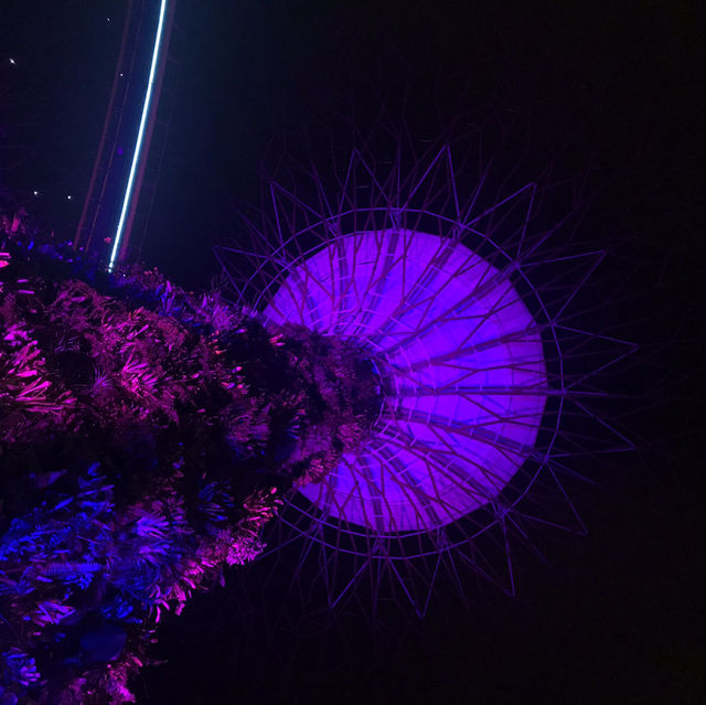 Singapore from the Top: The Beauty of Supertree Observatory