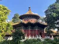 Perfect China Transit: From Daxing to the Forbidden City