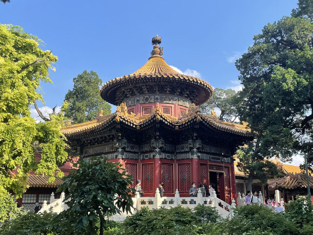 Perfect China Transit: From Daxing to the Forbidden City