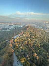 🌆🌿 Seoul from Above: N Seoul Tower & Namsan Park