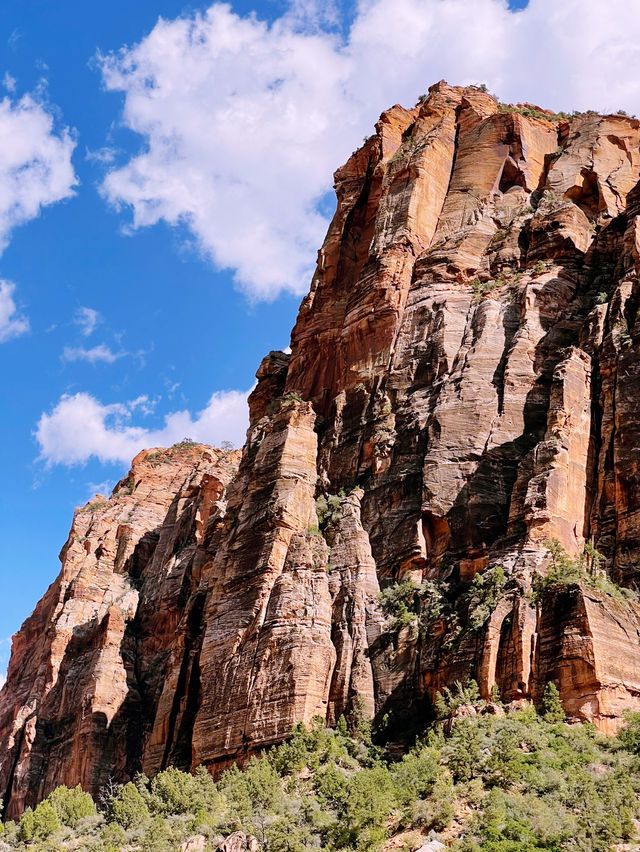 said: 🏜️ Zion National Park – Nature’s Ultimate Adventure Park!