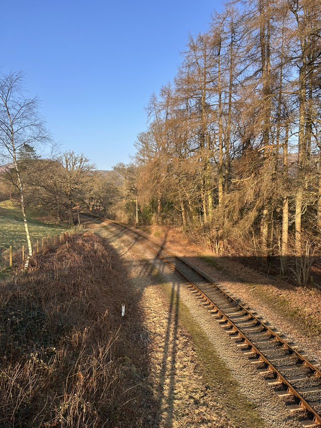 Alongside the railway 