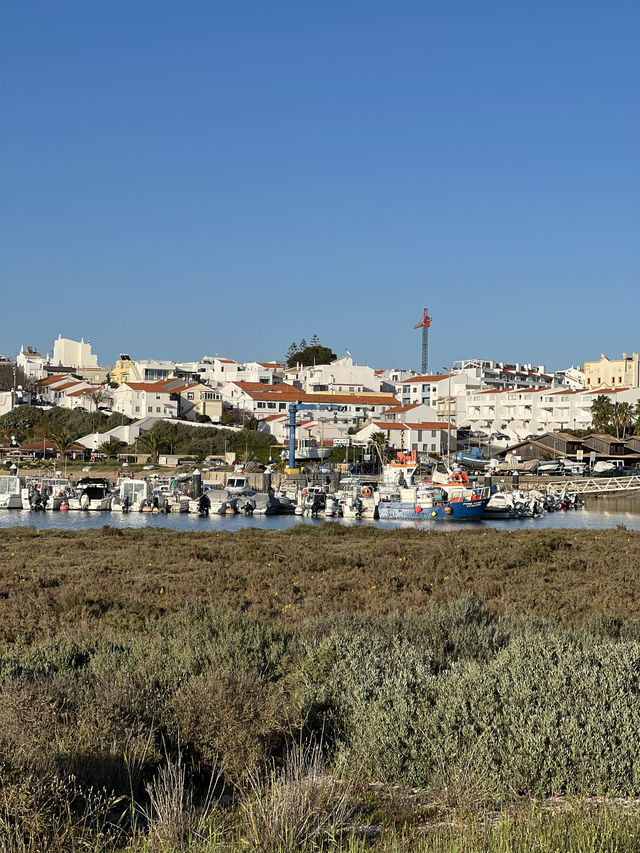 🇵🇹알가브 알보르의 해변과 습지 산책!