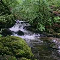 lake District 