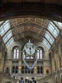 National History Museum Guide 🇬🇧