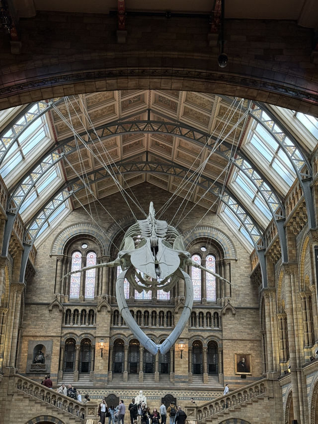 National History Museum Guide 🇬🇧