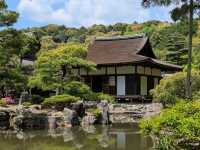 The Best 3 Days in Kyoto