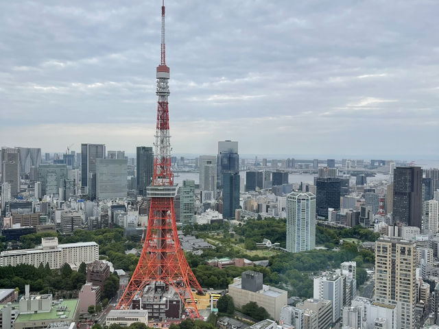Tokyo 6 Days Travel Guide 