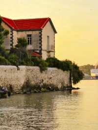 🌊 Mytilene: A Seaside Capital of Culture, History, and Warm Aegean Spirit 🇬🇷✨
