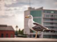 A day in Cardiff!