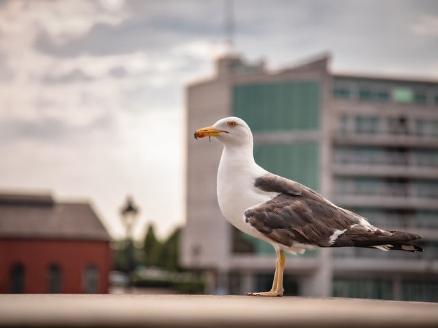 A day in Cardiff!