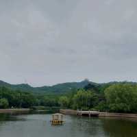 Beautiful parks, Zhongshan park, Botanical garden etc.