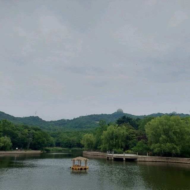 Beautiful parks, Zhongshan park, Botanical garden etc.