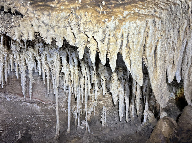 🧭 Tu Lan Caves: Vietnam’s Hidden Underground World 🌏✨