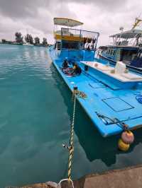 🌊 Dhiffushi Island, Maldives – A Local Island Paradise Experience