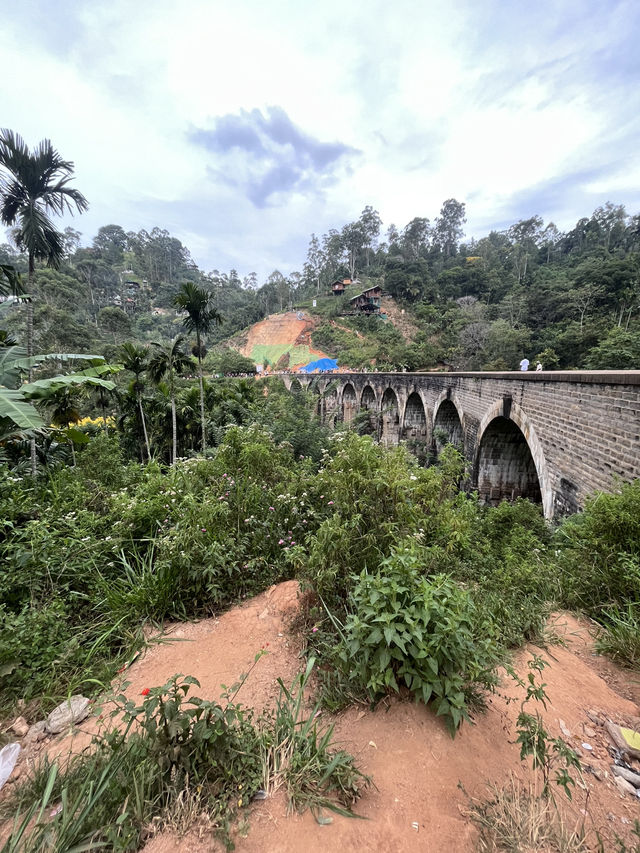 Однодневный тур по Элле — незабываемое приключение! 🌿🐘