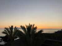 Tenerife Natural Beauty🌴