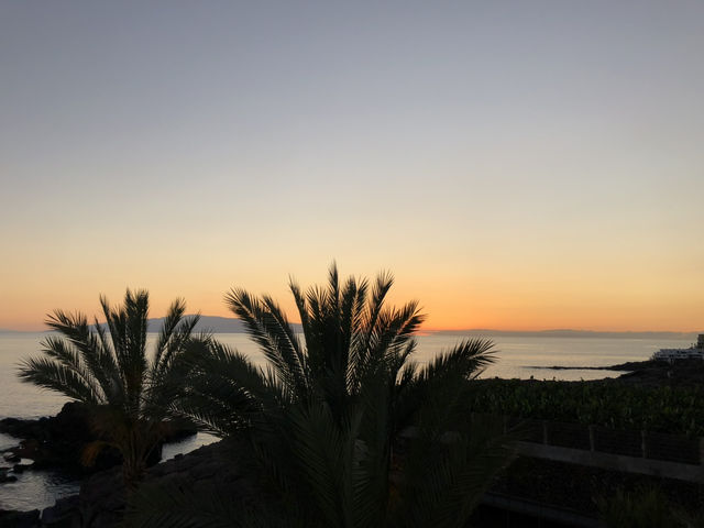 Tenerife Natural Beauty🌴