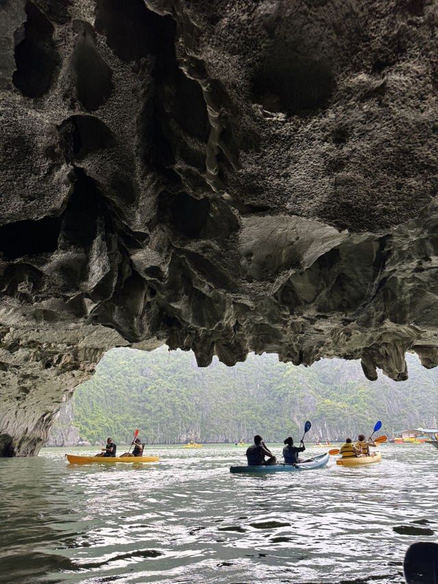 Ha Long Bay: A Hidden Wonder of the World 🌊✨