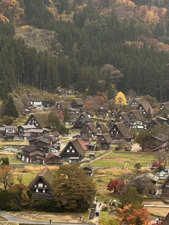Nagoya to Takayama & Shirakawa-go 🏯🌿Day dream trip