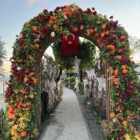 Hello Halloween Istanbul 🎃🕸️