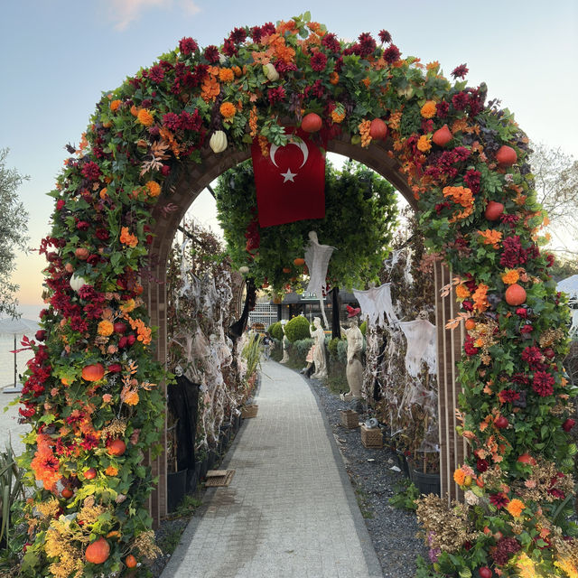 Hello Halloween Istanbul 🎃🕸️ Hello Halloween Istanbul 🎃🕸️