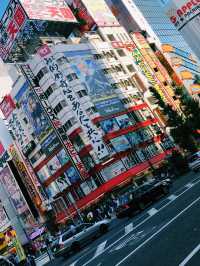 Tokyo on a Budget: Sushi, Shrines & Street Life