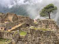 Conquering the Clouds: Your Adventure in Peru's Lost City of the Incas! 🇵🇪⛰️