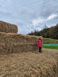Stouslie Farm Pumpkin Patch, Hawick – A Scenic, Family-Friendly Autumn Adventure