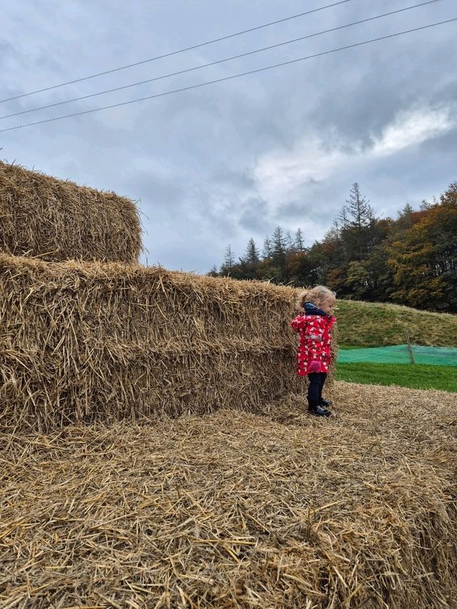 Stouslie Farm Pumpkin Patch, Hawick – A Scenic, Family-Friendly Autumn Adventure