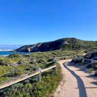 Perth on the Cheap: Essential Guide