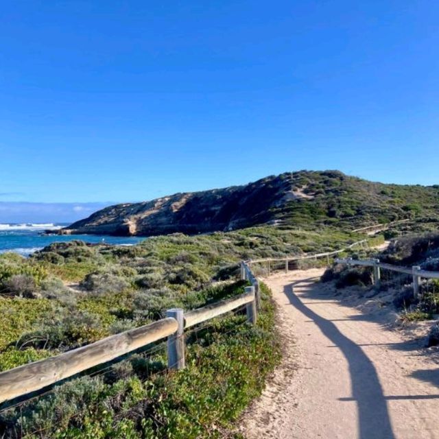 Perth on the Cheap: Essential Guide