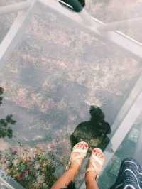 Ради чего стоит посетить тропический парк «Янода» 🌴