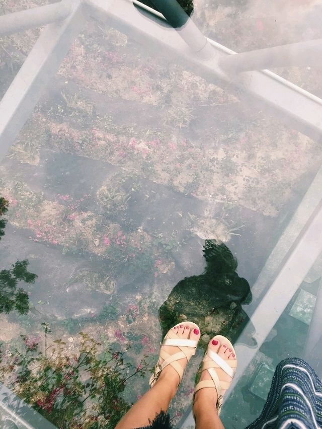 Ради чего стоит посетить тропический парк «Янода» 🌴