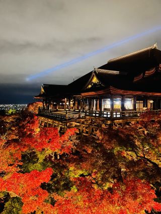 🇯🇵 คู่มือท่องเที่ยวเกียวโต | สถานที่ท่องเที่ยวแนะนำ ⛩️