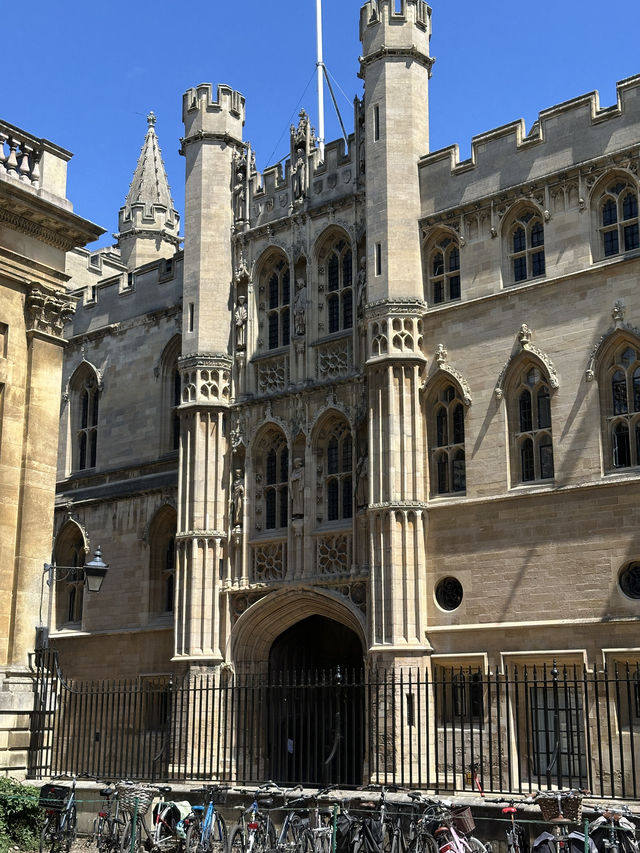 🌿 Did you know Cambridge has a hidden side beyond the famous colleges?